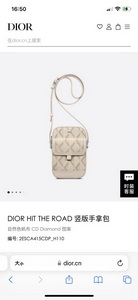 DIOR Handbags 1038